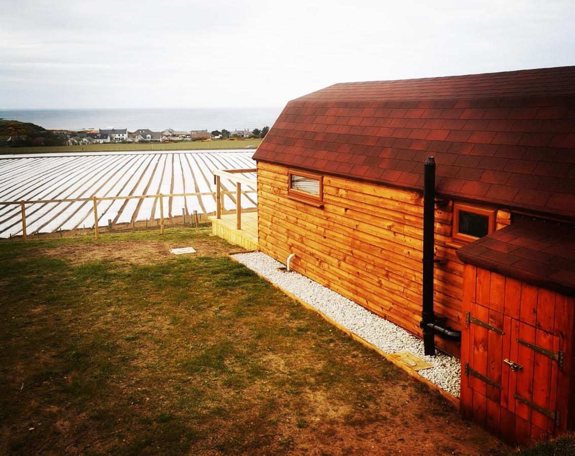 Gowanview Glamping Hotel บานฟ์ ภายนอก รูปภาพ